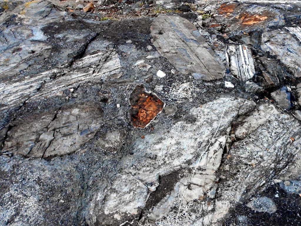 Удар із космосу знищив 75% видів: вчені встановили склад метеорита-вбивці